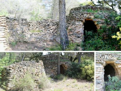 Barraca situada enmig del bosc