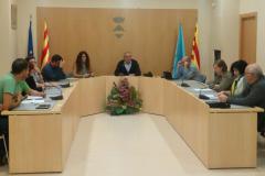 Ple municipal extraordinari del 29 d'octubre